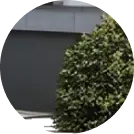 Yard Cleanup Image